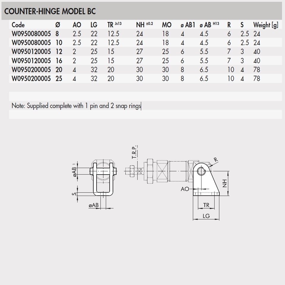 5557-3 W0950080005 COUNTER-HINGE - MODEL BC for 810Ø BORE ISO6432 Product Family